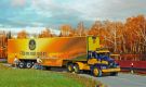 523t Volvo N 12 ASG